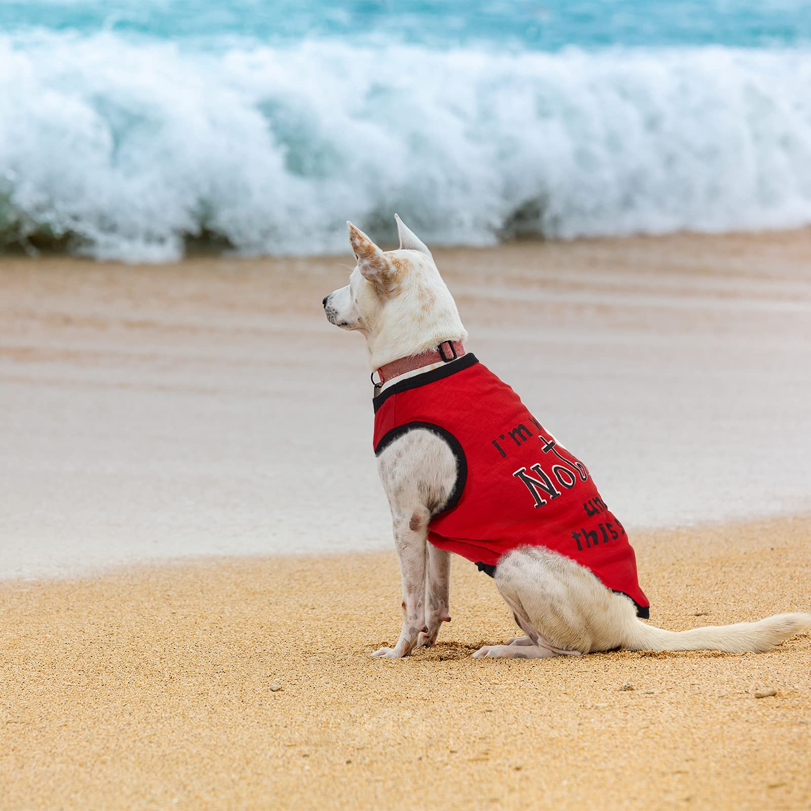 Saintrygo dog shirts varied colors patterns for playful looks