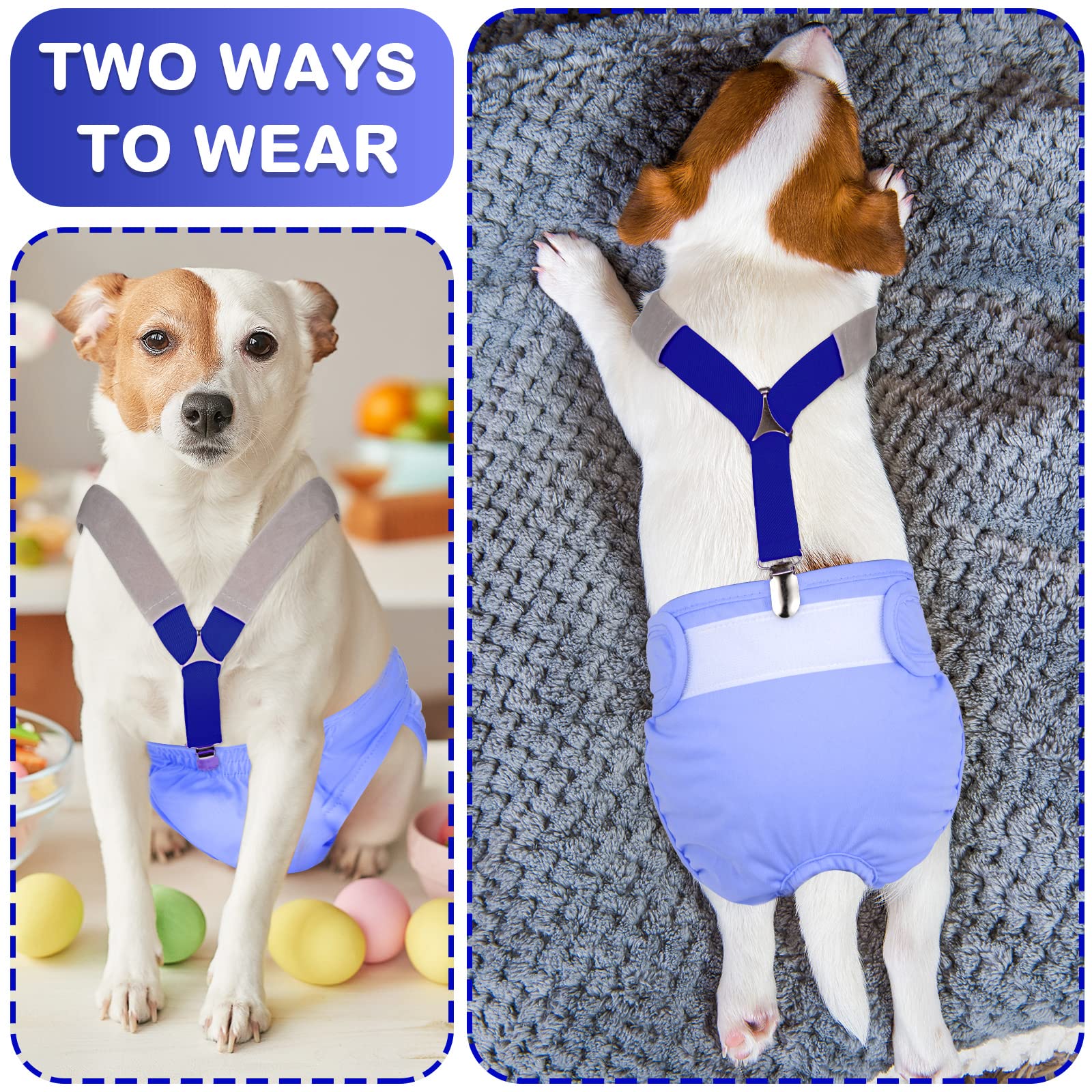 Saintrygo dog suspenders shown on a pet during daily activity.