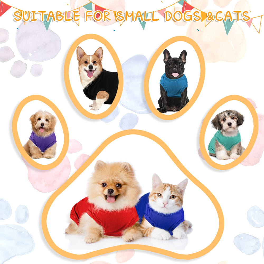 Saintrygo eye-catching pet outfits for parties and photos.