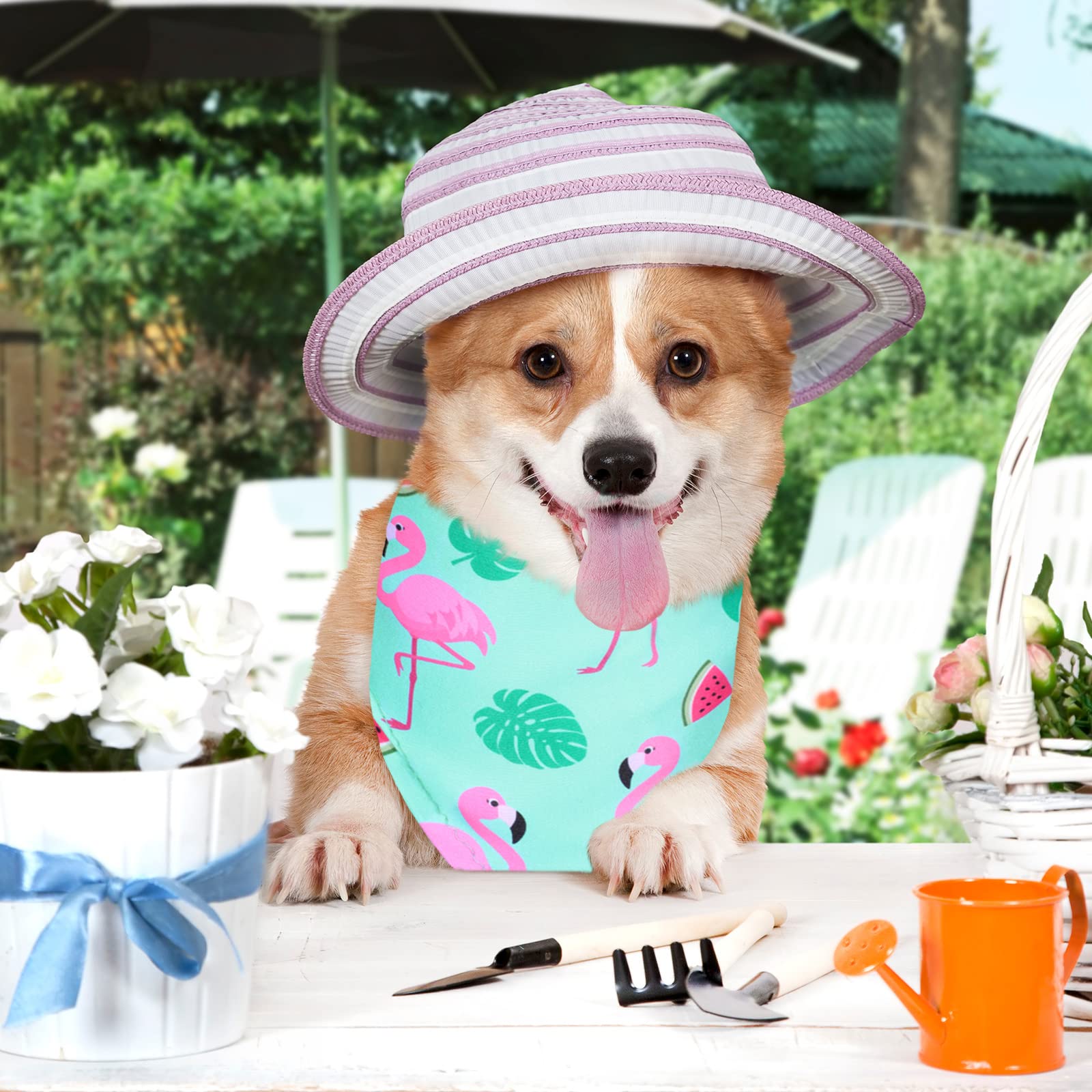 Saintrygo washable durable dog bandanas for longevity