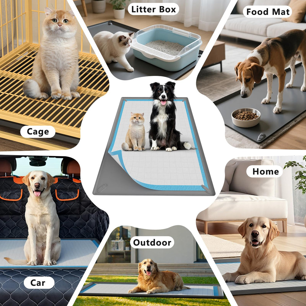 SAKAKI non-slip base stays put during pet activity.