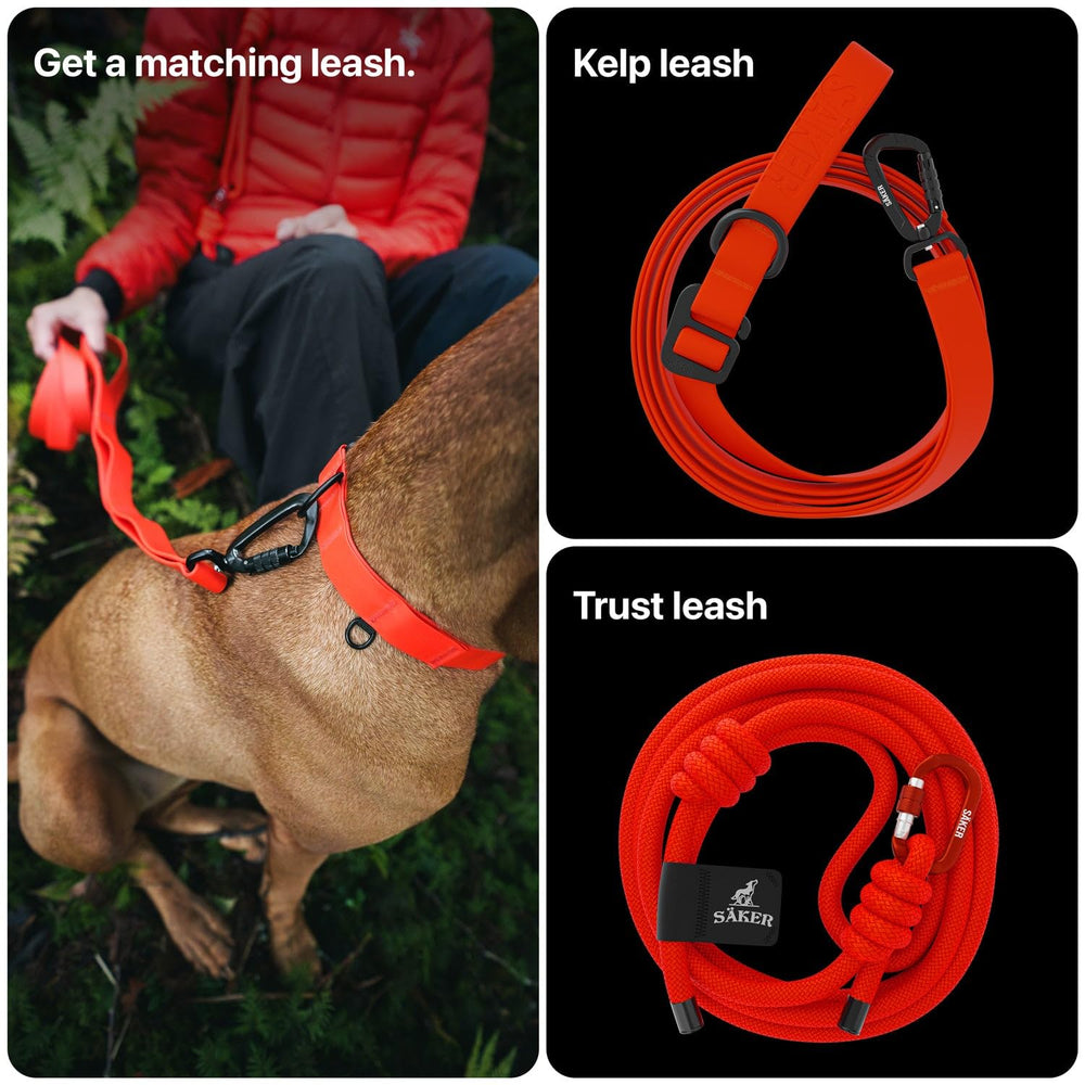 SÄKER dog collar in action on a muddy trail orange