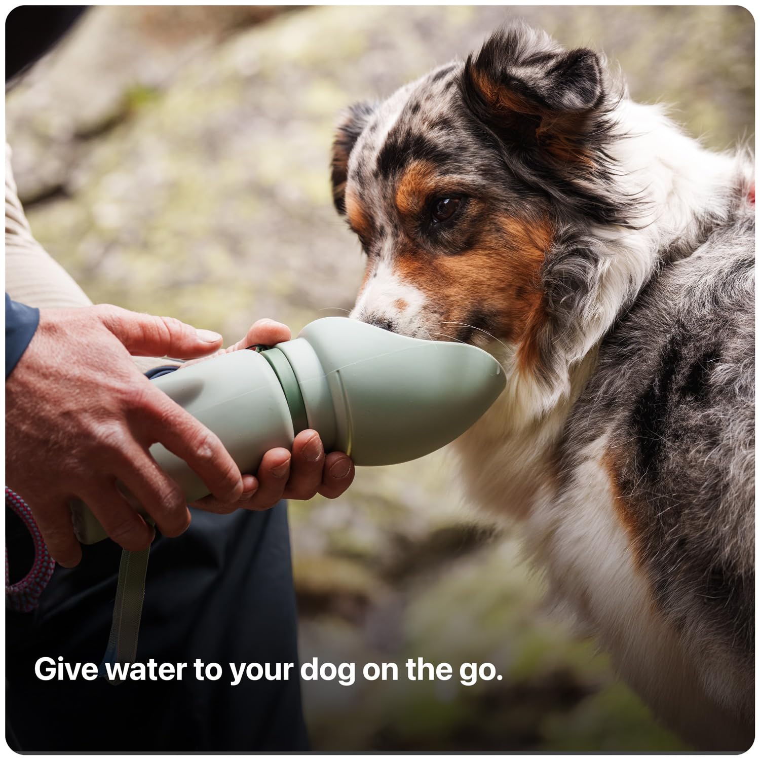 Saker 3-in-1 design demonstrates a portable dog bowl for quick sipping during outdoor adventures.