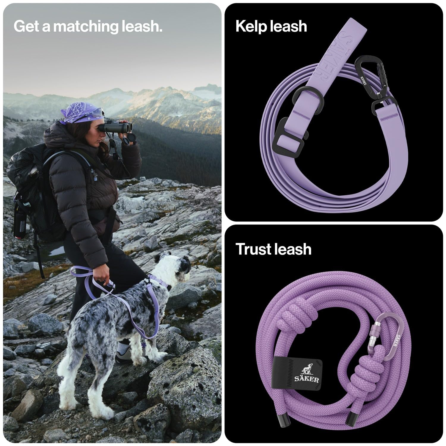 SÄKER large-dog collar designed for big breeds and rugged adventures.