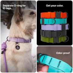 SÄKER lightweight collar design comfortable for large dogs during long days.