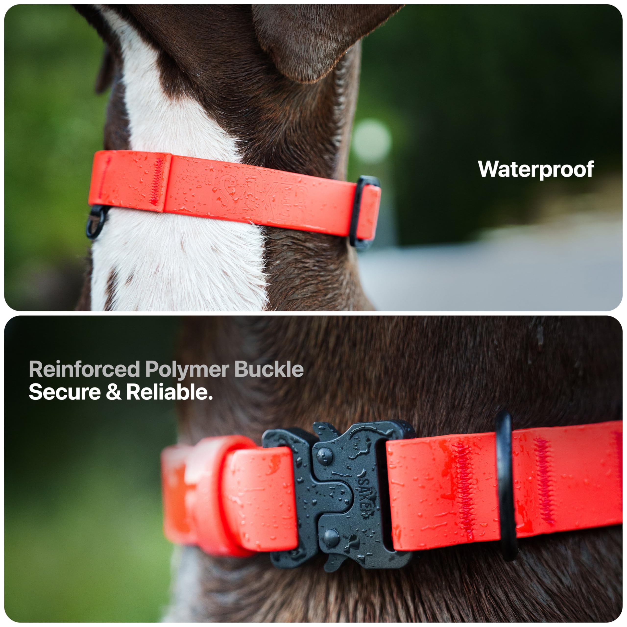 SÄKER quick-release buckle on a sturdy collar for fast on/off during walks.