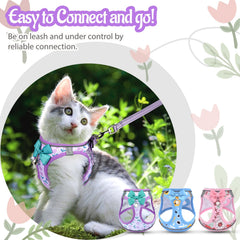 Salfse step-in harness with adjustable back tape for easy wear.