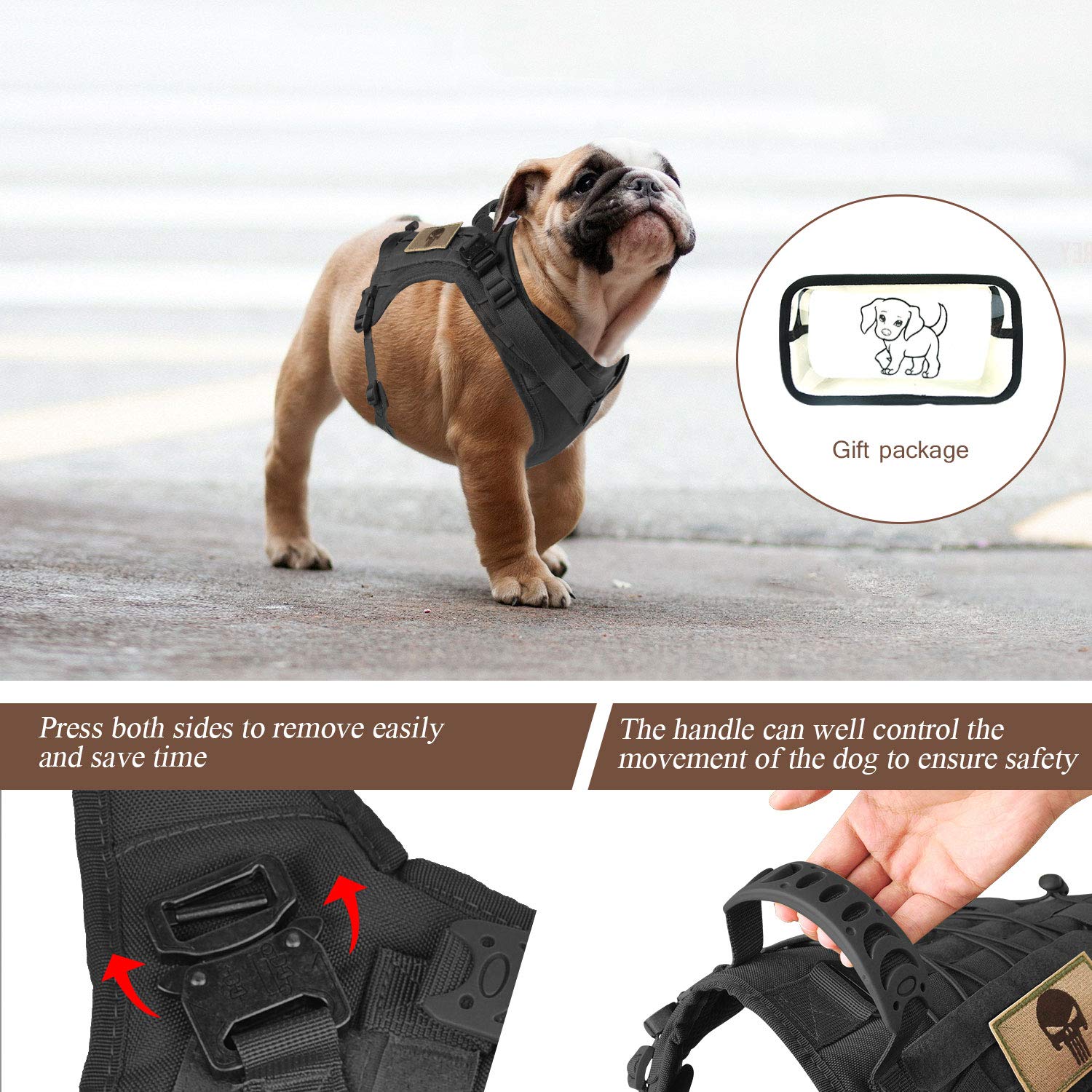 Salfse rubber handle provides secure, gentle control during training or hikes.