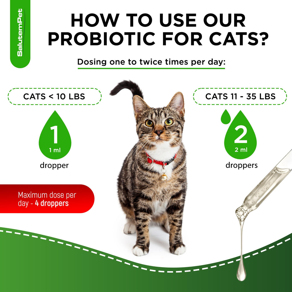 SalutemPet natural gluten-free and lactose-free ingredients for sensitive cats.