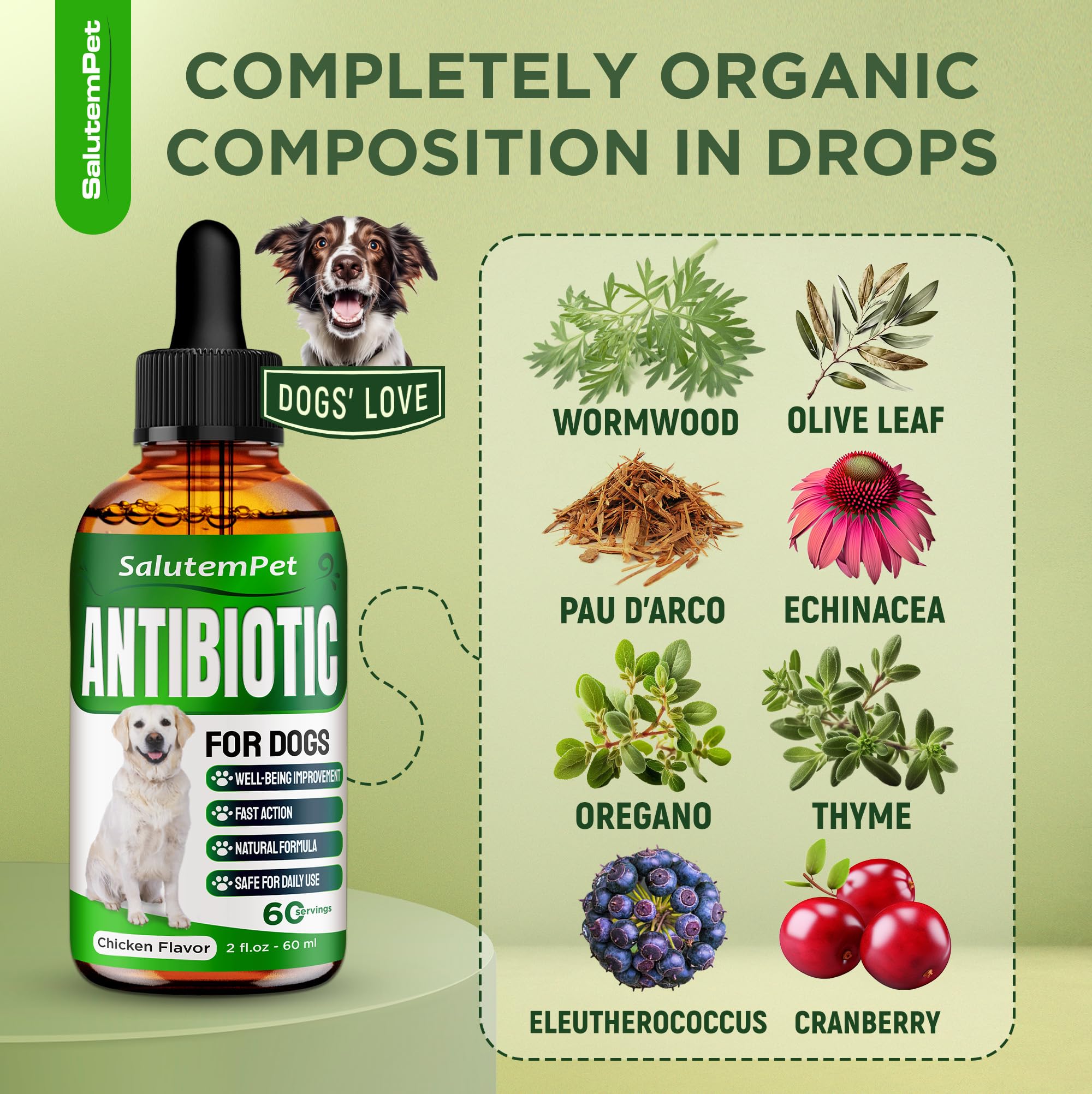 SalutemPet dog antibiotics bottle closeup highlights natural ingredients and dependable flavor.