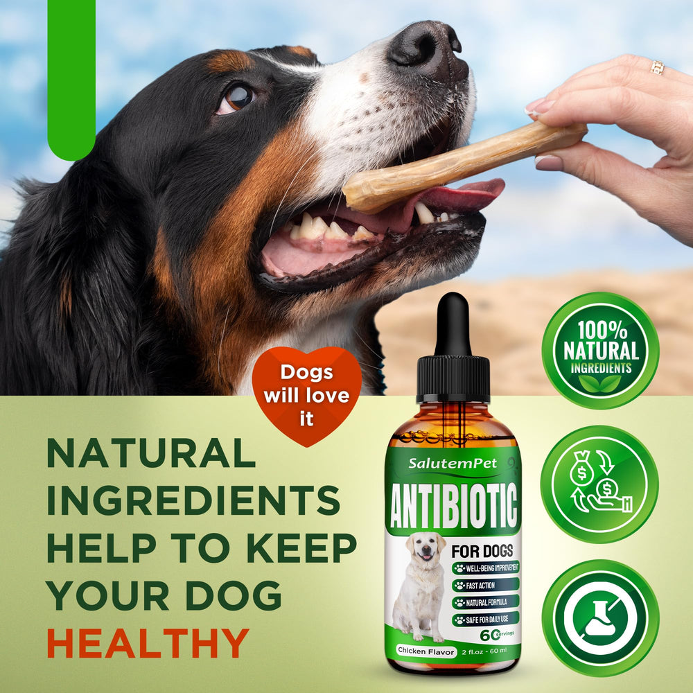 SalutemPet dog tooth infection treatment concept emphasizes targeted oral care benefits.