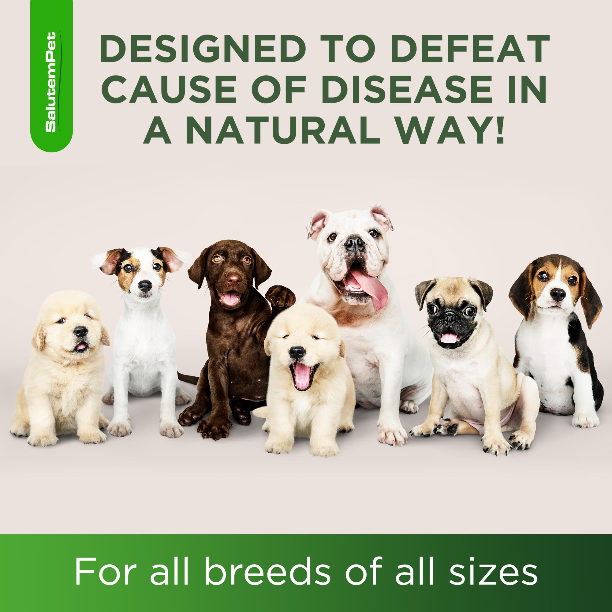 SalutemPet dog uti support image hints at hydration-friendly daily care.