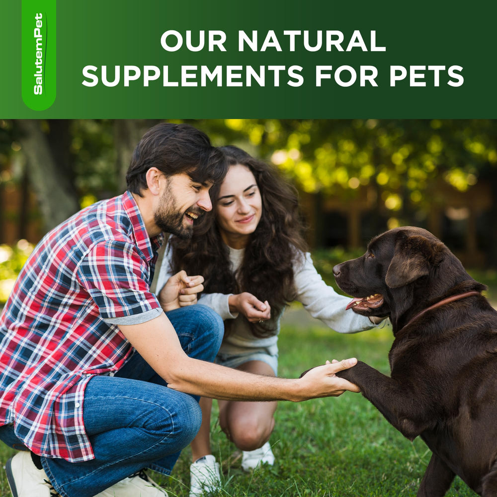 SalutemPet itching relief image suggests allergy-friendly relief options in a tasty format.