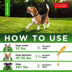 SalutemPet owner dropping drops into dog's mouth illustrates quick, stress-free dosing.