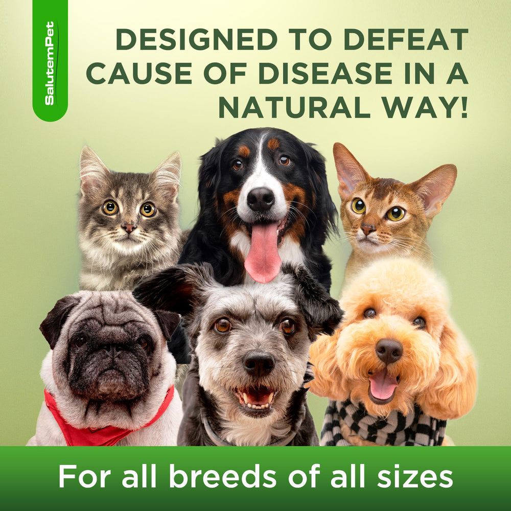 SalutemPet pet-friendly dosing guide graphic illustrating safe administration to dogs and cats.