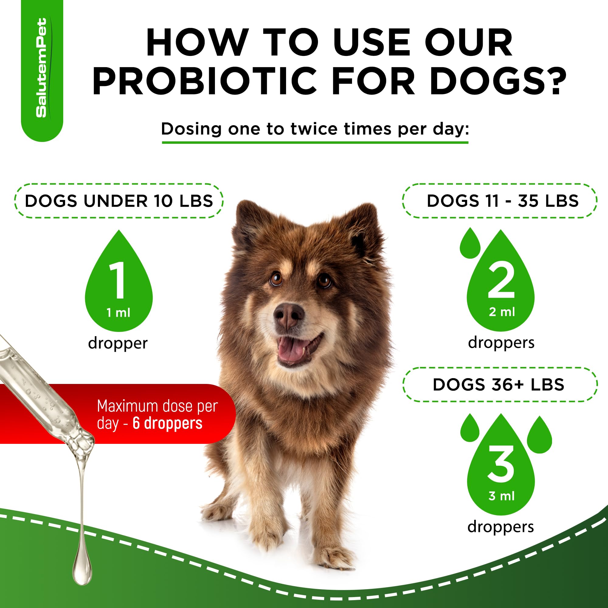 SalutemPet bacon-flavor image shows palatable probiotic for dogs.