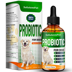 SalutemPet probiotics for dogs bottle shows convenient daily gut support.