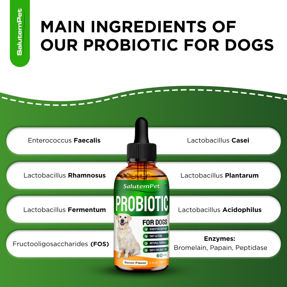SalutemPet probiotics for dogs dropper shows easy dosing for liquid supplement.