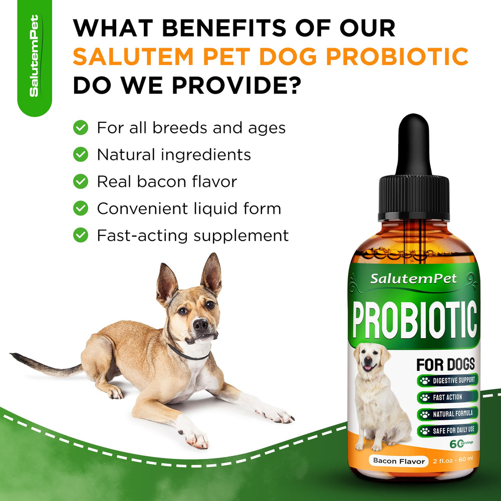 SalutemPet prebiotic enzyme blend image highlights digestive synergy.