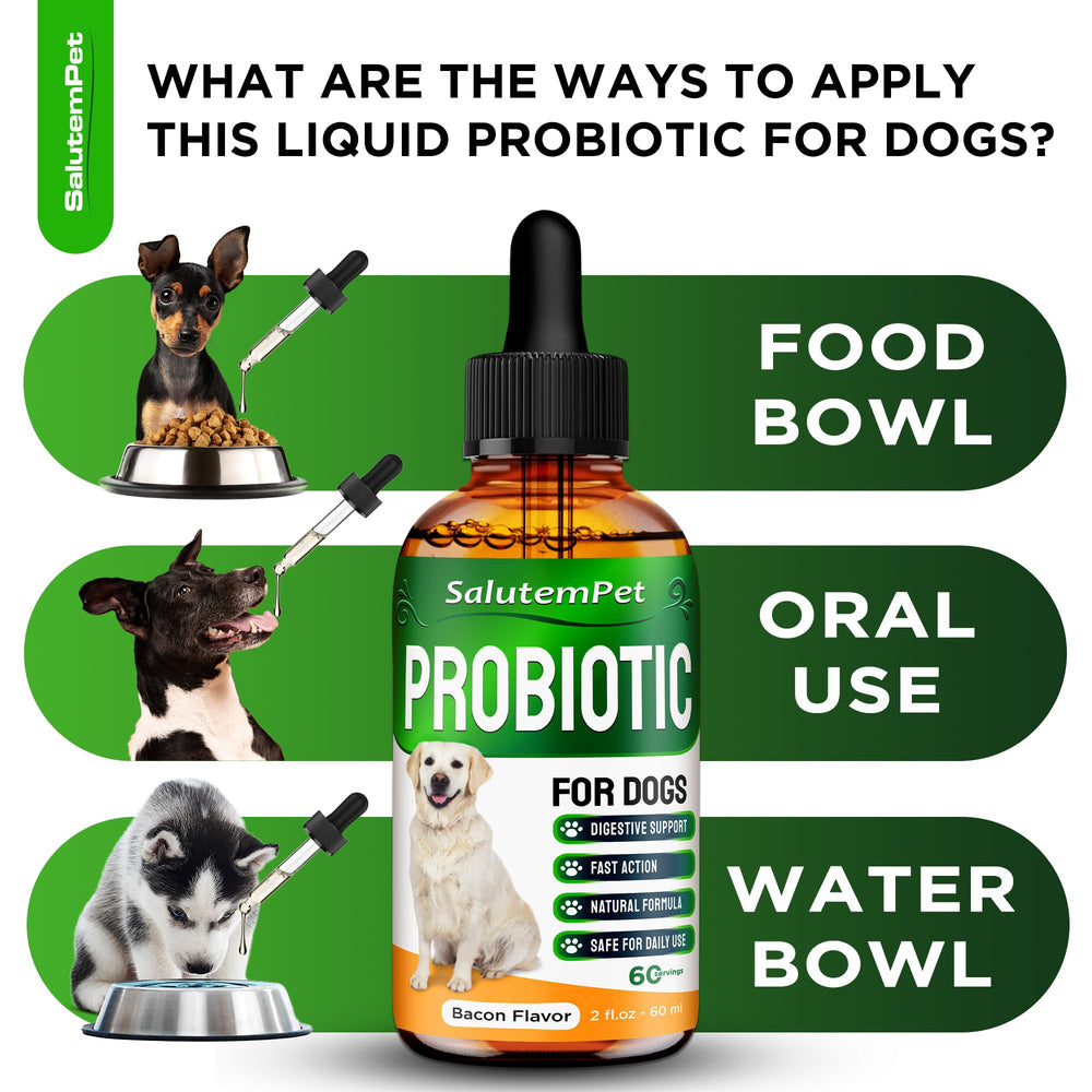  SalutemPet probiotics for dogs puppy meal scene with bacon flavor appeal.