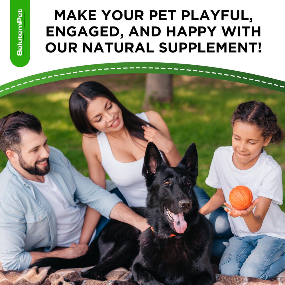 SalutemPet universal suitability image indicates works across breeds and ages.