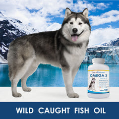 Salveo Wild-Caught Omega-3 image emphasizes purity from anchovies, sardines and mackerel.