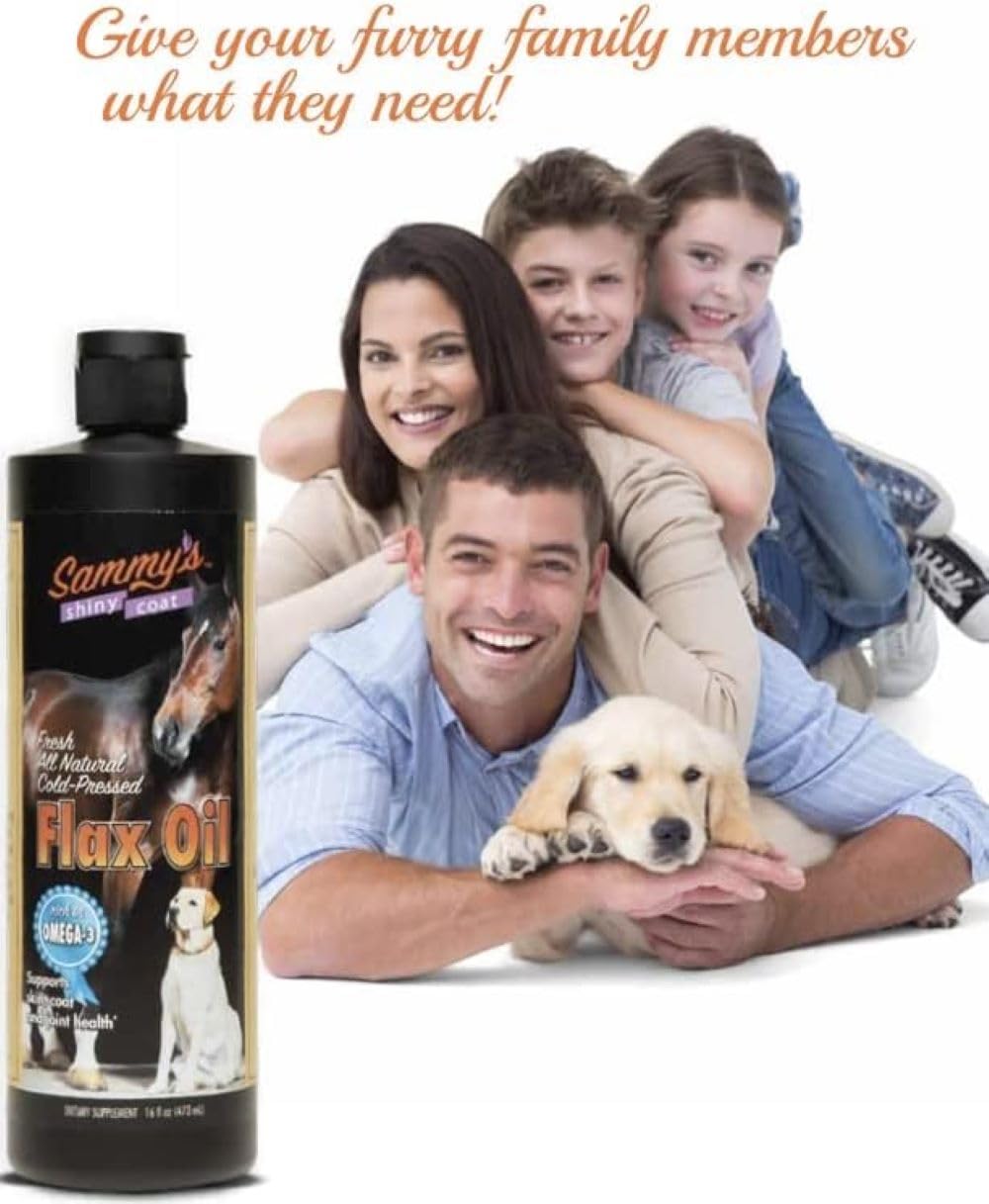Sammy's Shiny Coat cat coat shine photo emphasizes smoother fur and comfortable skin.