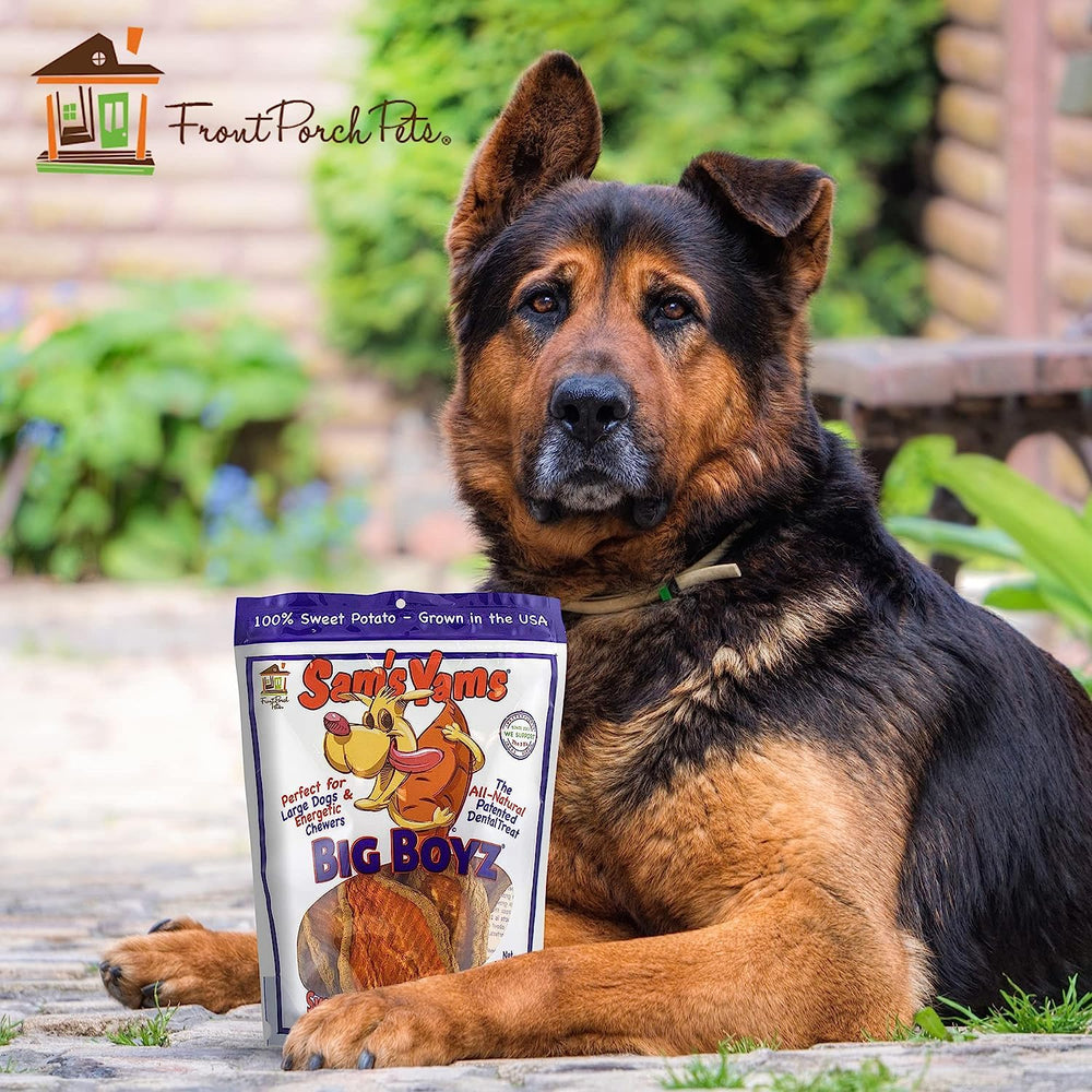Sams Yams dog enjoying treat in home setting conveys happy, wagging moments.