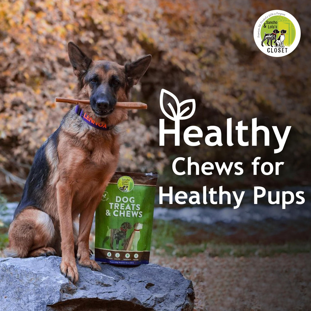 Sancho & Lola's bully sticks low-odor image ideal for odor-conscious homes.