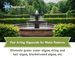 Sanco Fountain Algaecide clarifies pond water for ornamental features.