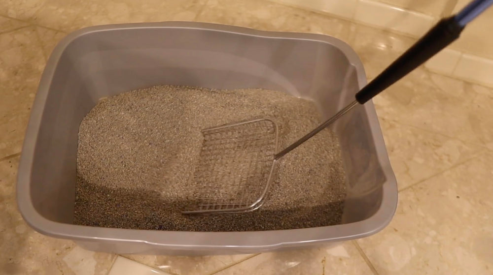 Sand Dipper lightweight yet durable tool for daily litter tasks.