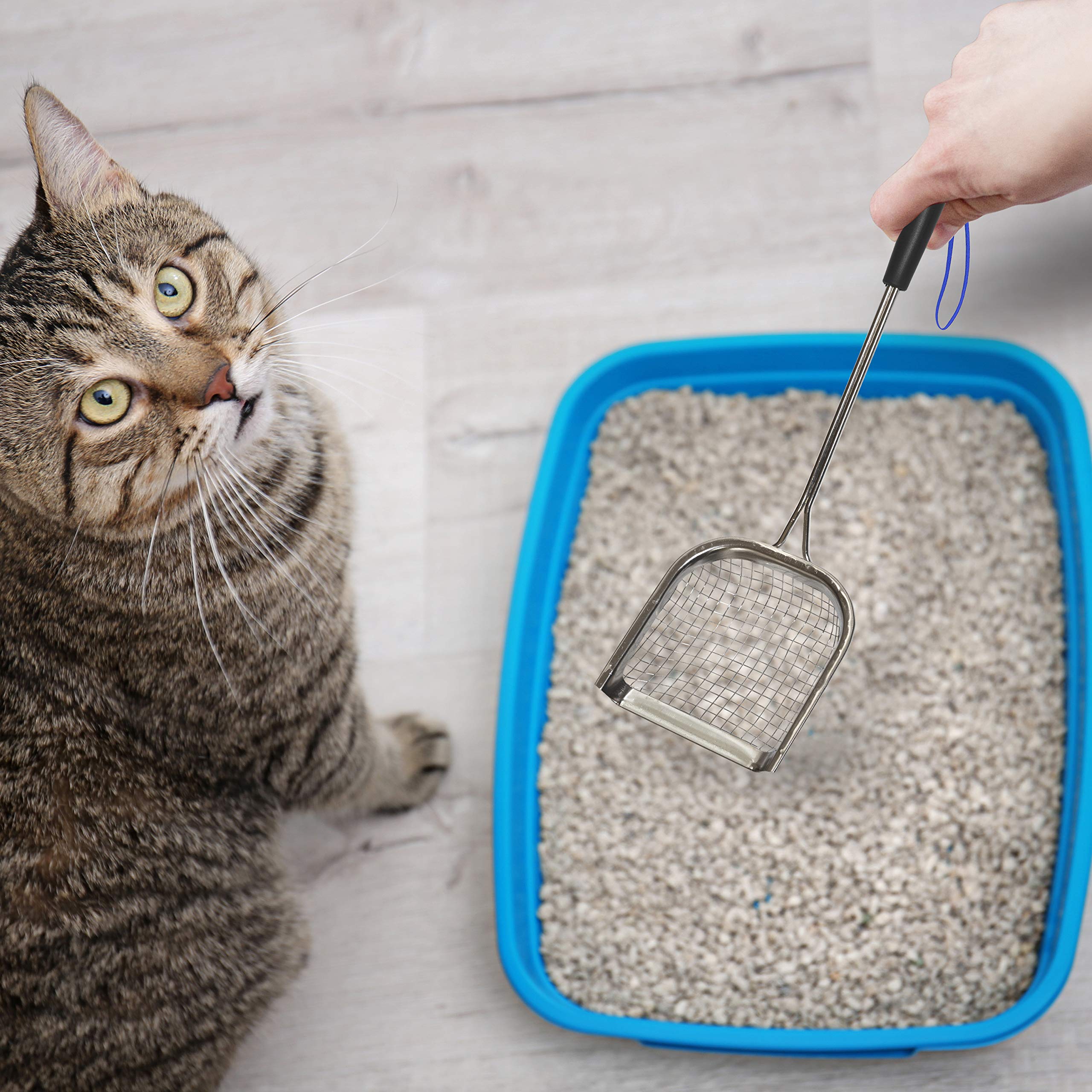Sand Dipper marine-grade stainless steel scoop resists corrosion for rugged use.