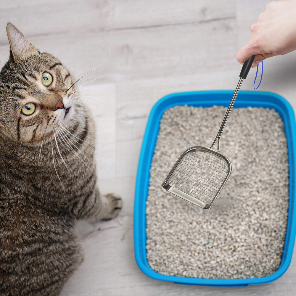 Sand Dipper marine-grade stainless steel scoop resists corrosion for rugged use.