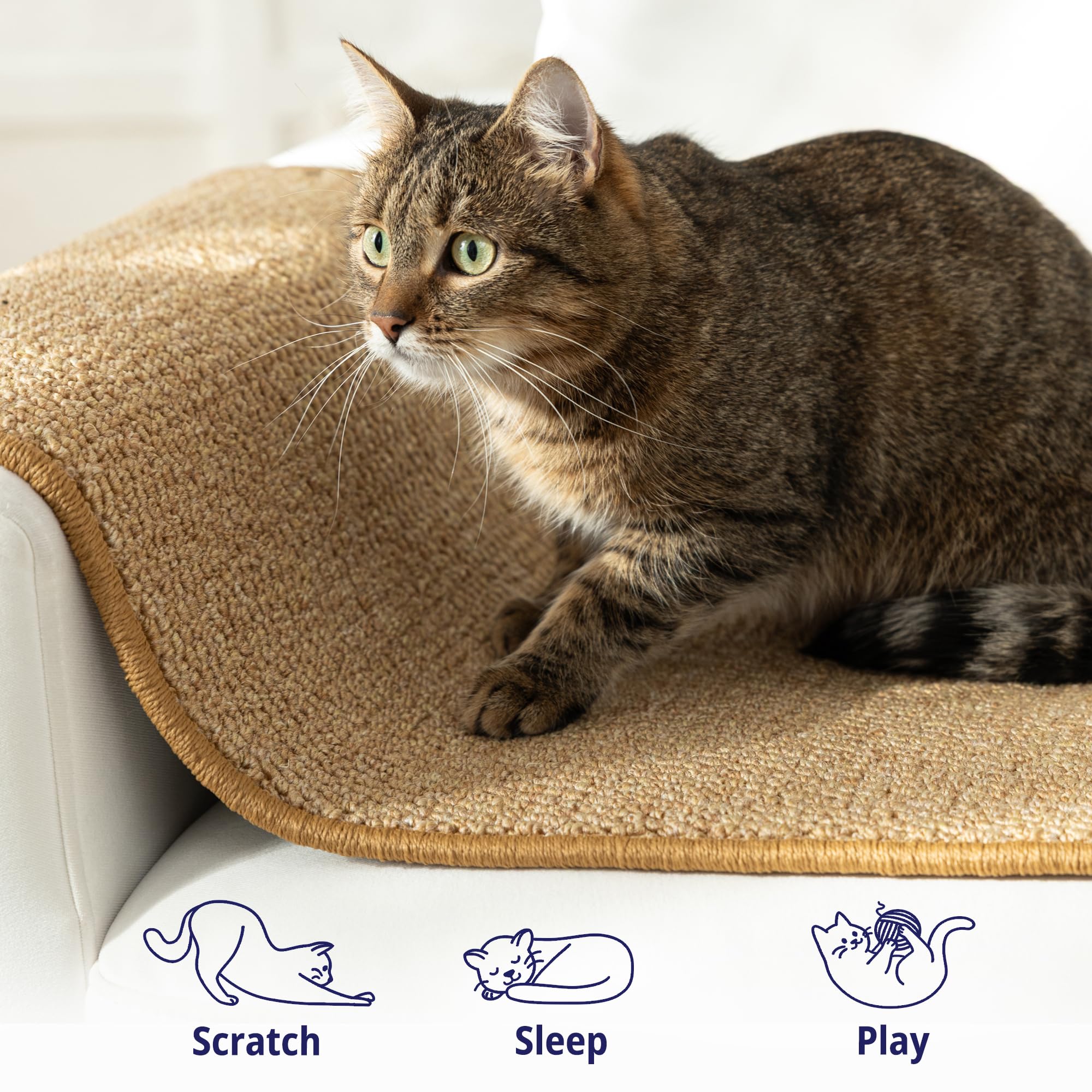 SANDPEAK cat wall climbing carpet sofa-protector use keeps furniture safe