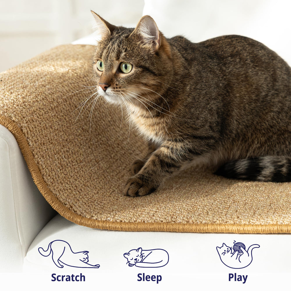SANDPEAK cat wall climbing carpet sofa-protector use keeps furniture safe