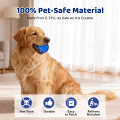 Sankell dog ball auto-bouncing improves chase-and-pounce moments for pawing and retrieving