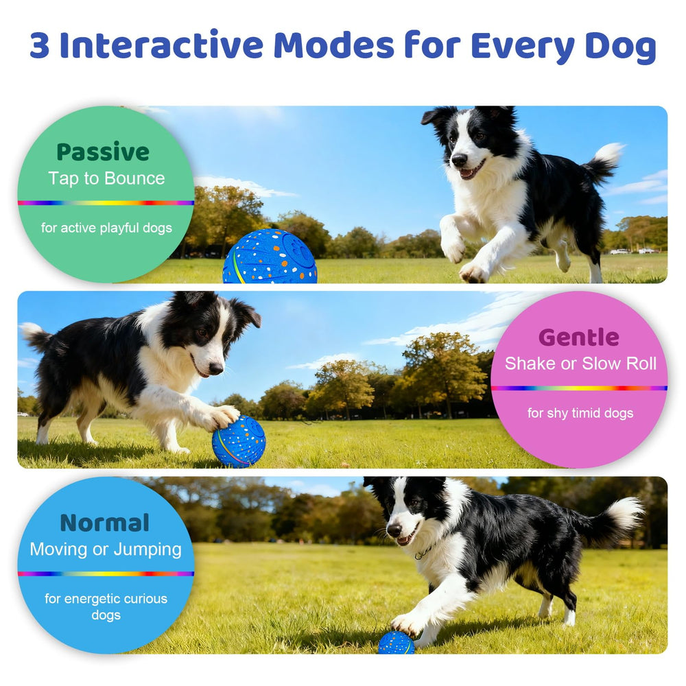 Sankell interactive dog ball three play modes enhances variety in daily fetch routines