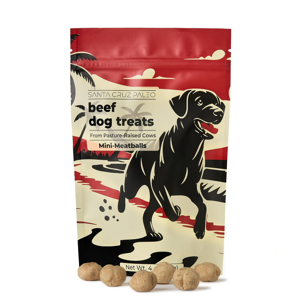 Santa Cruz Paleo beef liver treats close-up showing protein-rich snack for training