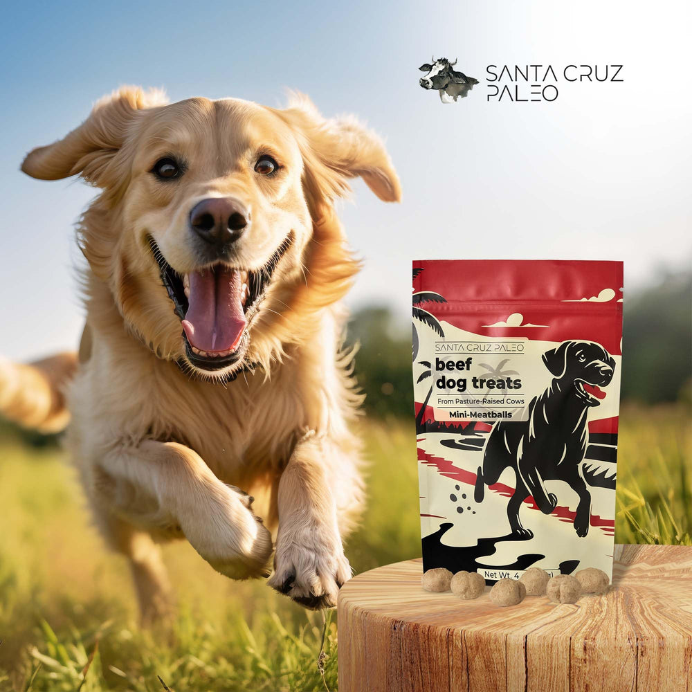 Santa Cruz Paleo food topper idea showing kibble with tasty boost