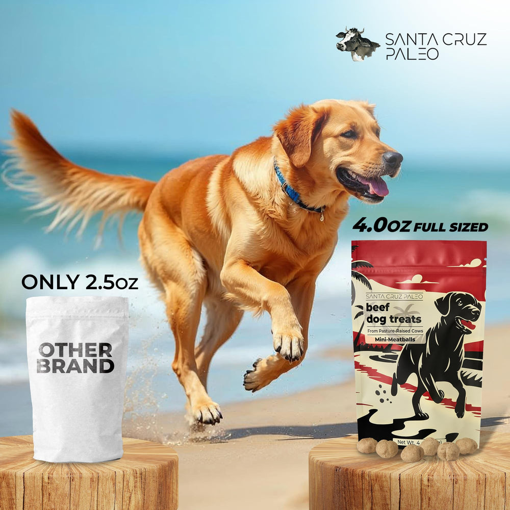 Santa Cruz Paleo mini meatball texture ideal for rewards during training