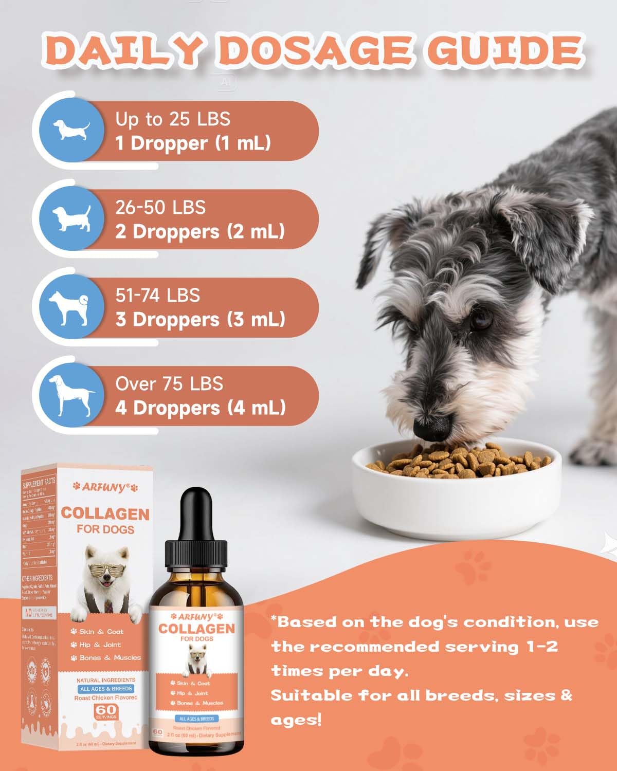 SANTKOL digestion support promotes comfortable meals and gut balance.