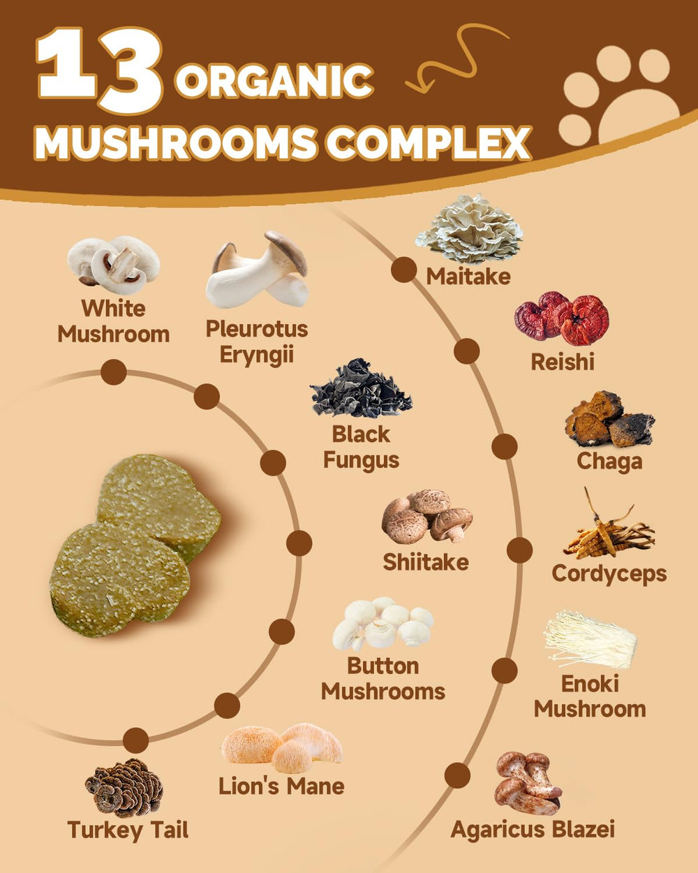 SANTKOL Mushrooms for Dogs skin-coat-glow chews support a healthy coat.