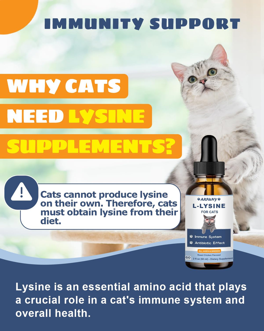 SANTKOL lysine drops poured into cat food bowl for convenience