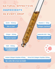 SANTKOL hyaluronic acid and MSM enhance joint moisture and mobility.