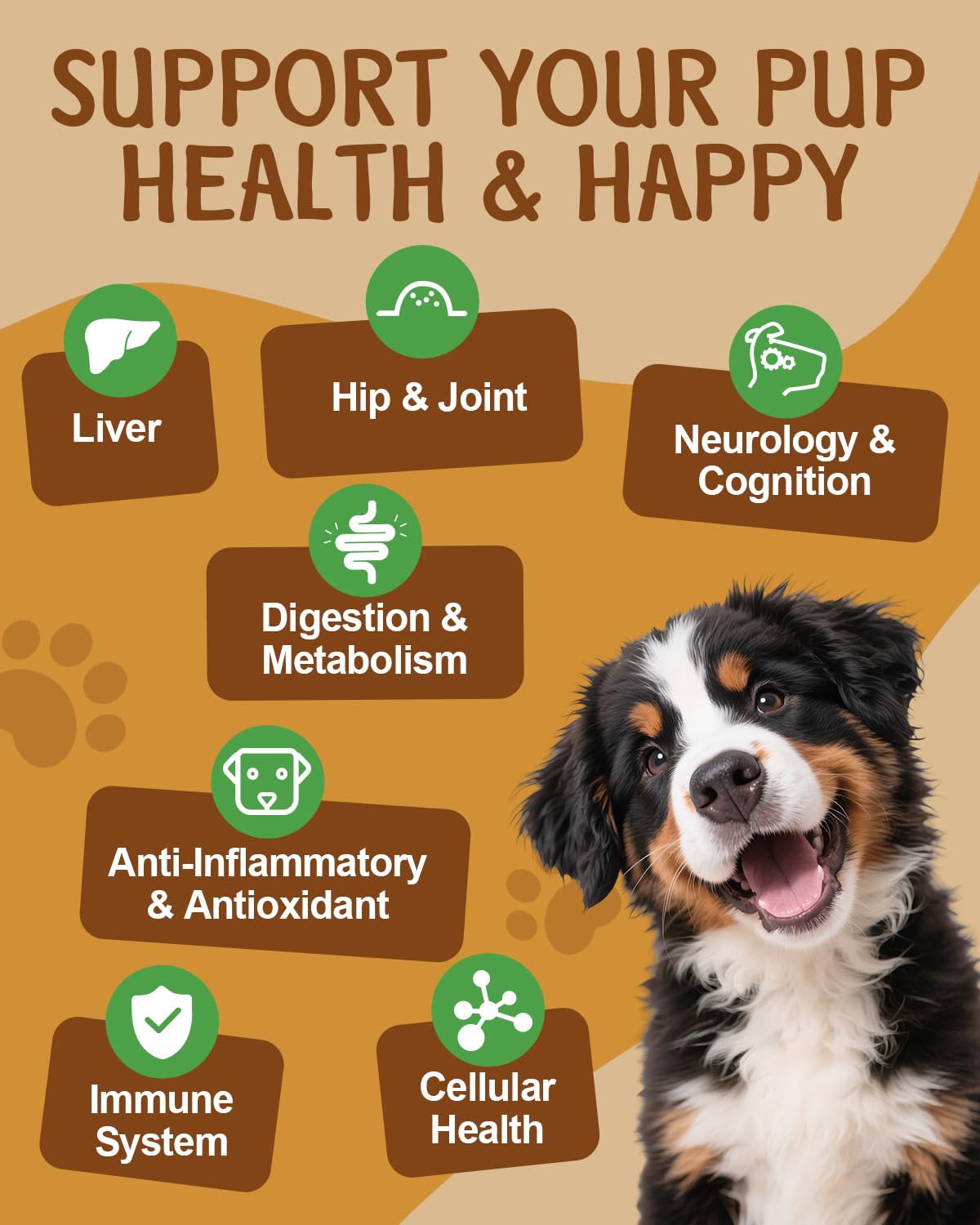 SANTKOL Mushroom for Dogs jar shows nine organic mushrooms for potential immune and cognitive benefits.