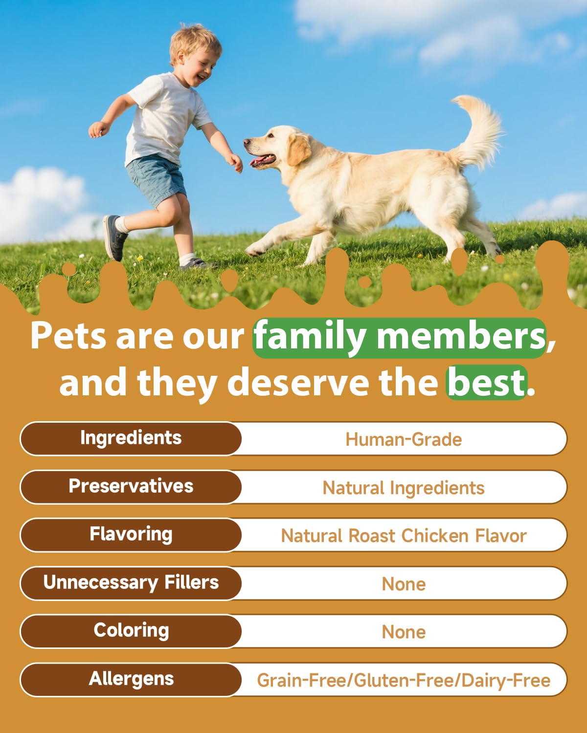 SANTKOL Mushroom for Dogs packaging highlights organic mushrooms and an allergen-free formula.