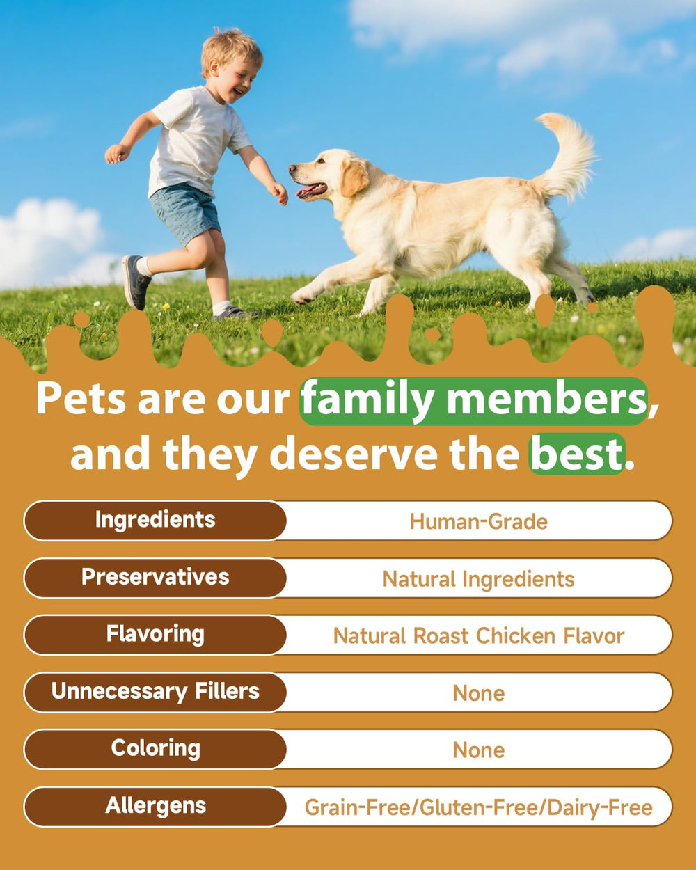 SANTKOL Mushroom for Dogs packaging highlights organic mushrooms and an allergen-free formula.