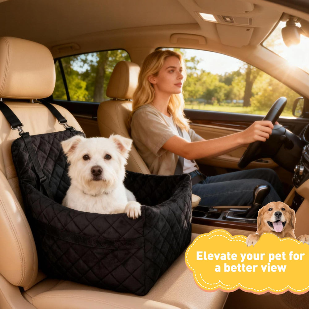 SANUODO portable design makes it easy to move between cars