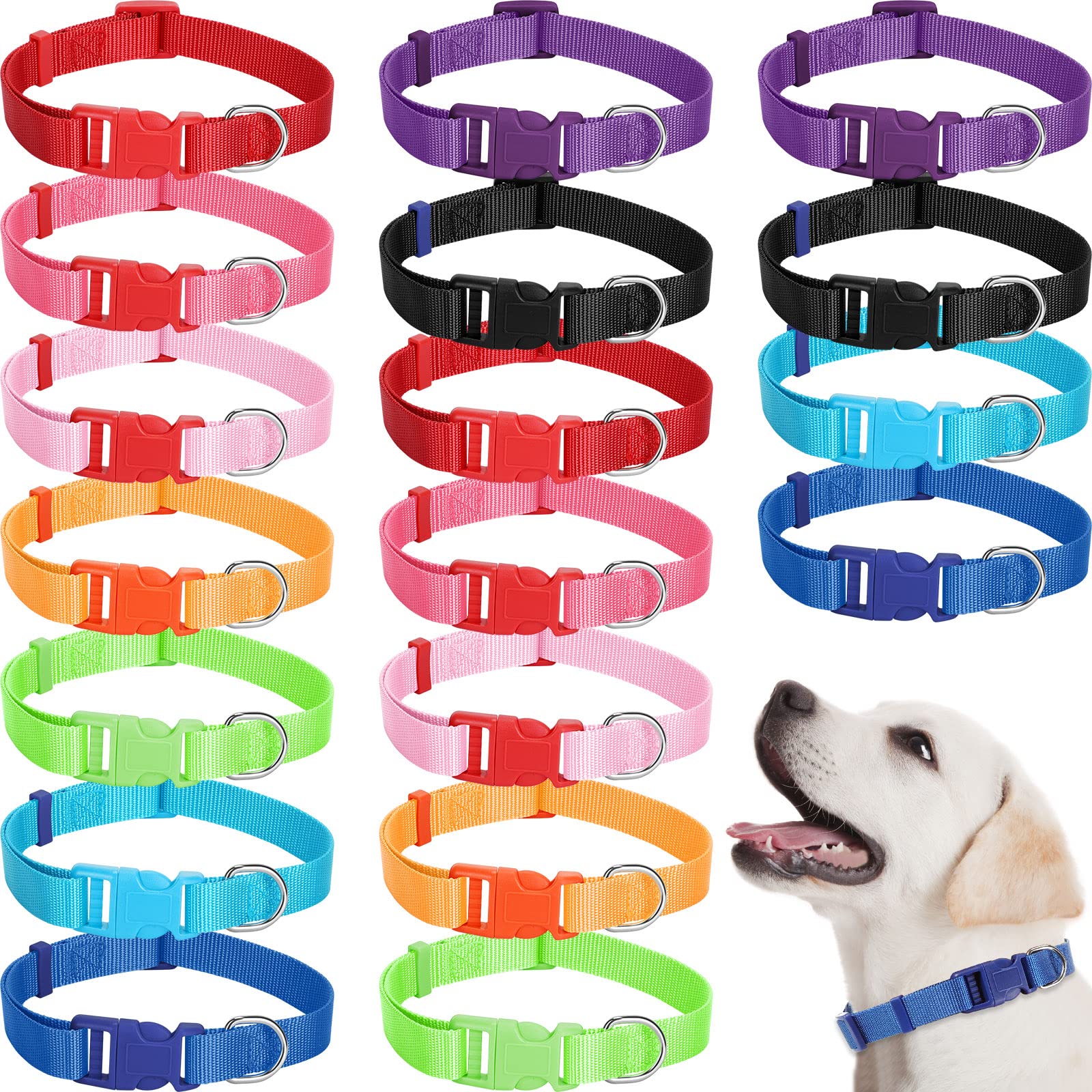 Sanwuta 18-pcs adjustable dog collar closeup reveals soft neoprene padding for everyday comfort.
