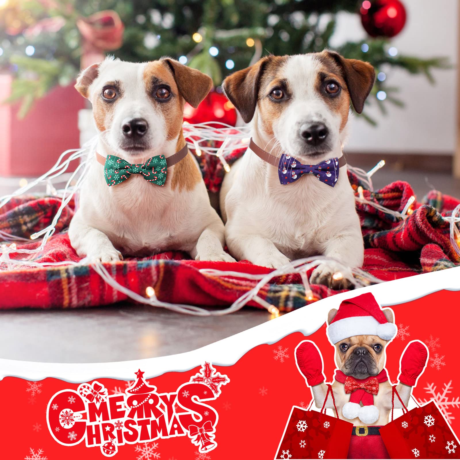 Sanwuta Christmas dog bow tie Santa-pattern close-up highlights playful holiday look.